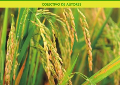 Desarrollo local y emprendimiento socioeconómico sostenible y sustentable del arroz en la provincia del Guayas.
