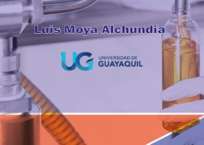 Estudio del proceso de dilución de crudos pesados mediante simulación computacional
