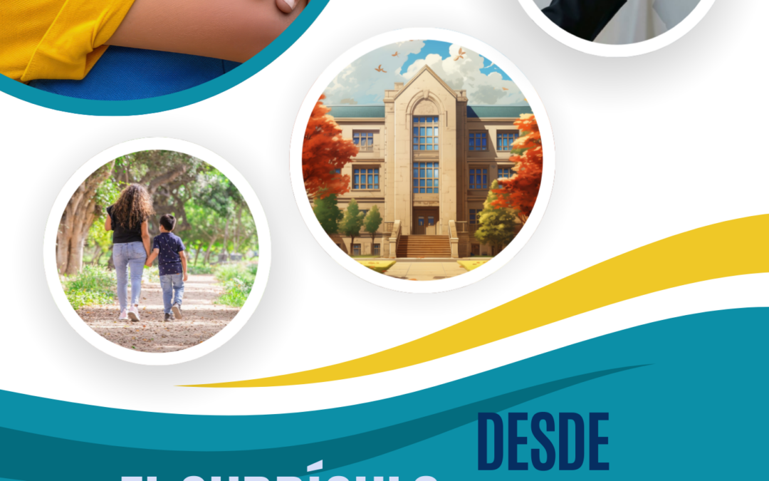 El currículo desde el sistema educativo